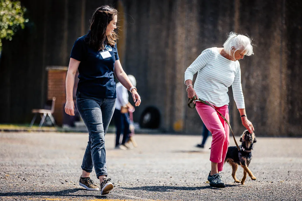 A lady training her dog to walk to heel